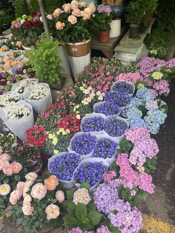 Exploring Kunming’s Jingxing Bird and Flower&nbsp;Market