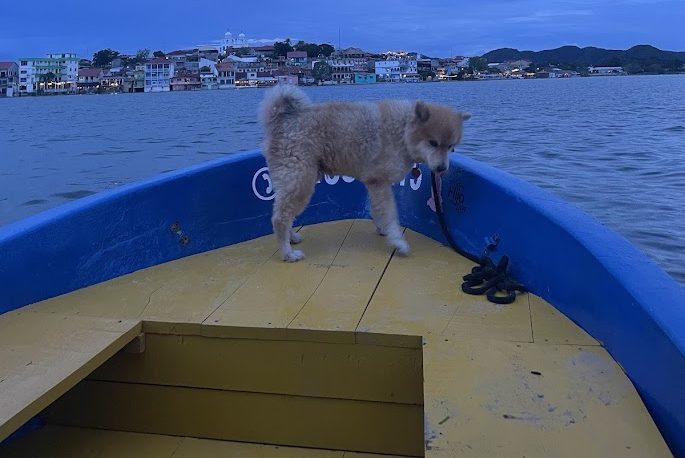 Navigating the Route from Flores to San Pedro La Laguna